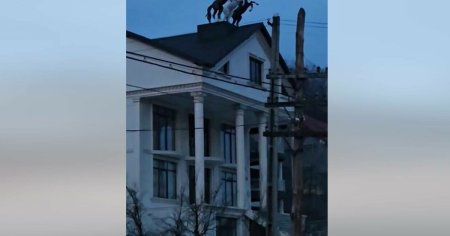 Imagini cu palatul din Romania cu trei cai pe acoperis, in marime naturala. 