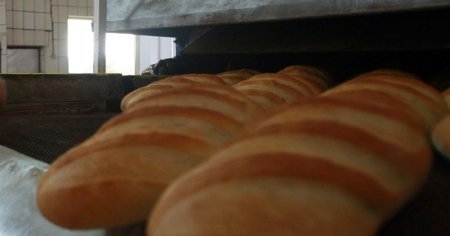 Fabrica de paine din Bucuresti, inchisa temporar de ANPC. Ce am descoperit ne-a <span style='background:#EDF514'>INTRI</span>stat si cutremurat