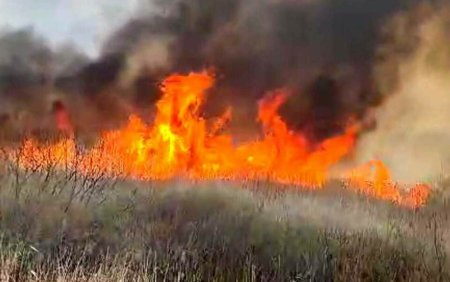 Incendiu de vegetatie in Delta Neajlovului. Pompierii au intervenit aproape 12 ore