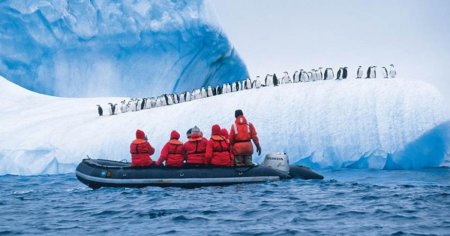 Cercetatorii din Antarctica au dezvoltat un accent ciudat dupa ce au fost izolati timp de 6 luni. Care este explicatia
