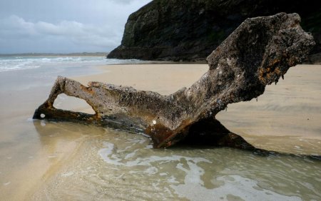 Descoperire veche de peste 130 de ani pe o plaja. Ce a scos la iveala o <span style='background:#EDF514'>FURTUNA PUTERNICA</span>. FOTO