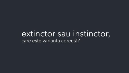 Extinctor sau instinctor. Multi romani nu stiu care este varianta corecta si o cauta pe internet