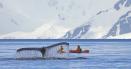 Cel mai rar accent din lume. A luat nastere in Antarctica si e incredibil cum suna