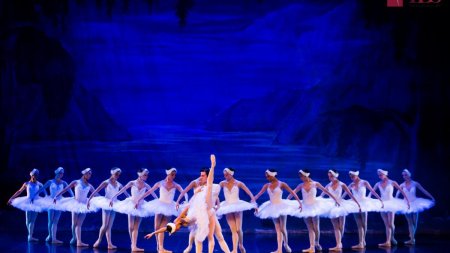 Lacul <span style='background:#EDF514'>LEBEDE</span>lor, cel mai iubit spectacol de balet clasic al tuturor timpurilor, revine pe scena la Teatrul de Balet Sibiu