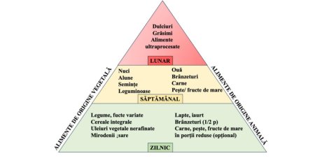 Alimentatia Carpato-Danubiana, in centrul unui proiect UBB Med, lansat de Ziua Mondiala a Obezitatii