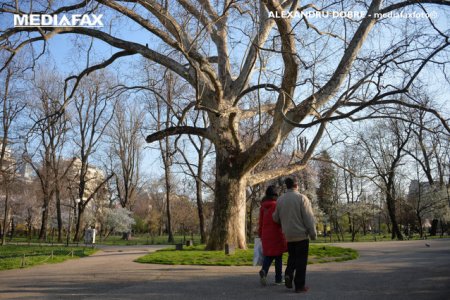 Prognoza meteo pentru urmatoarele doua saptamani: Doua zile de vreme deosebit de calda, apoi se raceste brusc