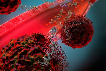 Descoperire importanta in lupta impotriva cancerului: proteina Cdk9, functie anticanceri<span style='background:#EDF514'>GENA</span>