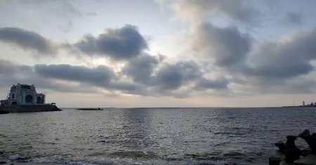 Delfin gasit mort pe plaja <span style='background:#EDF514'>CAZINOUL</span>ui din Constanta. Ce parere au biologii despre cauza mortii VIDEO