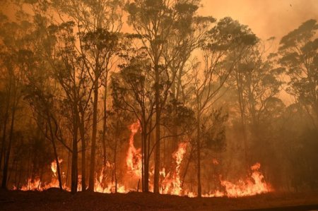 Grecia, cea mai calduroasa iarna din istorie. Cresc temerile privind <span style='background:#EDF514'>INCENDIILE</span> din vara