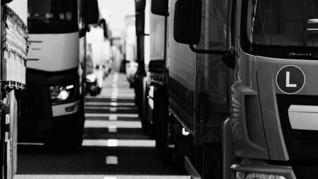 Cozi la <span style='background:#EDF514'>VAMI</span>. Soferii de camioane asteapta si cinci ore pentru a iesi din tara