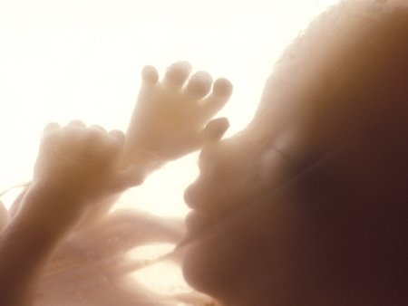 Franta devine prima tara din lume care face din avort un drept constitutional