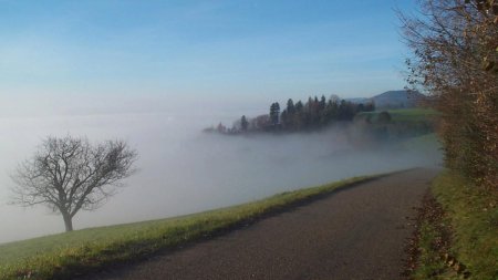 Circulati cu prudenta: Ceata densa in Moldova si Dobrogea. Iata localitatile pentru care a fost emis cod galben