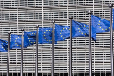 Parlamentul European si Consiliul UE, acord privind interzicerea produselor fabricate prin munca fortata