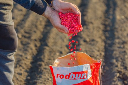 Rodbun Grup, una dintre cele mai mari afaceri din agricultura, contracteaza un credit sindicalizat de 101,5 mil. euro, coordonat de BCR, pentru capital de lucru si extinderea businessului