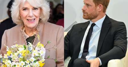 Tensiune la <span style='background:#EDF514'>CASA REGALA</span>. Conflict intre Printul Harry si Regina Camilla. Ce-l nemultumeste pe acesta la mama sa vitrega