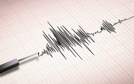 Cutremur in zona seismica Vrancea, miercuri dimineata. Ce magnitudine a avut