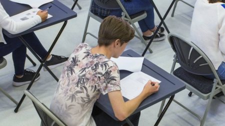 Subiectele la Biologie de la simulare Bacalaureat 2024 au fost publicate