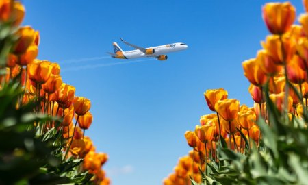 Compania aeriana HiSky a transportat in cei trei ani de activitate 2,5 milioane pasageri si a raportat 28 de destinatii operate regulat