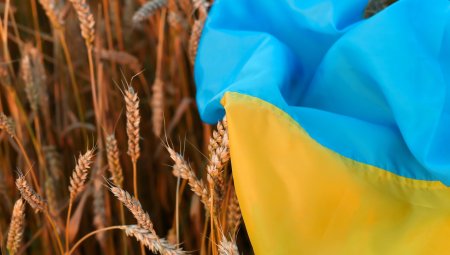 Ucraina, dispusa sa accepte restrictii in schimburile sale comerciale