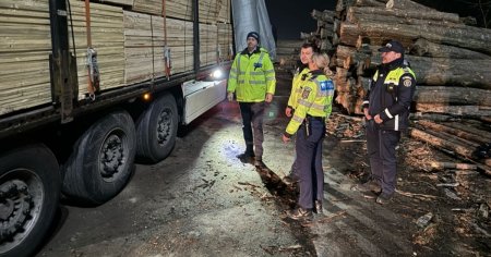 Trucul prin care Politia a facut sa apara un transport de lemne in acte. Un TIR a fost confiscat