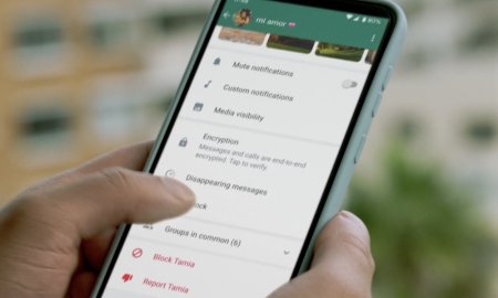 WhatsApp introduce o noua functie: Se schimba modul de cautare a mesajelor
