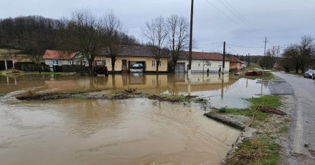 Mai multe gospodarii din Timis, inundate de viituri provocate de ploile abundente