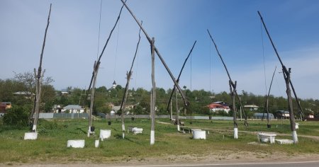 Locul de poveste, ocupat de o padure de fantani arhaice, cu cumpana, din mijlocul unui sat din sudul Moldovei