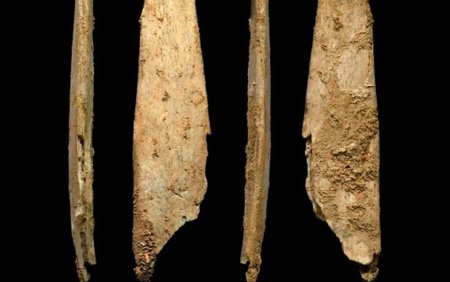 Unelte din piatra din Transcarpatia dateaza de acum 1,4 milioane de ani, confirmand cea mai veche prezenta a omului in Europa