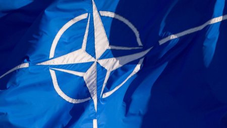 Suedia devine in mod oficial al 32-lea membru al NATO