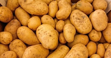Ce se planteaza langa cartofi. Secretul unei recolte bogate