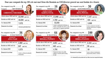 Doar sase femei conduc o companie din top 100 cele mai mari din Romania. Cele sase companii au o cifra de afaceri cumulata de 17 mld. euro si 26.000 de angajati. Marile companii au inca o mentalitate conservatoare bazata pe stereotipuri sociale