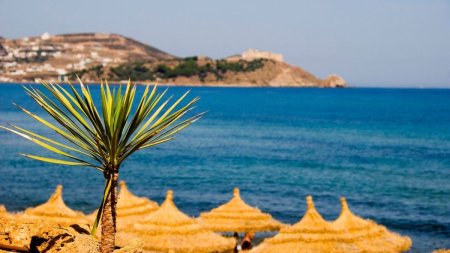<span style='background:#EDF514'>TUNISIA</span>, o destinatie ideala pentru o vacanta de vis din mai pana in octombrie