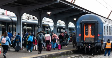 Un calator a urcat in tren cu mai multe capre. Cum au reactionat ceilalti pasageri