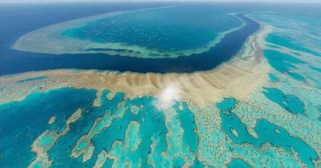 Marea Bariera de Corali este afectata de un nou episod de albire in masa