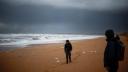 Sute de pasari moarte, descoperite pe plajele din Franta