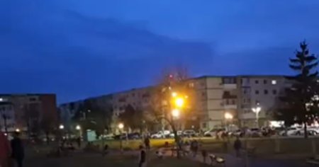 Fata costumata in pisica, intr-un parc din Arad. S-a plimbat in patru labe si a atacat un caine VIDEO