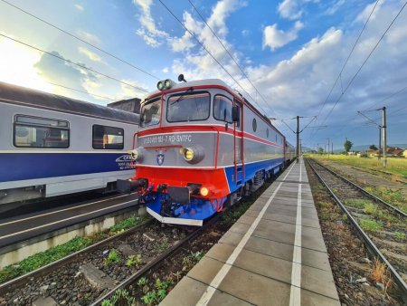 Transhumanta cu CFR. Un barbat si-a urcat caprele in tren