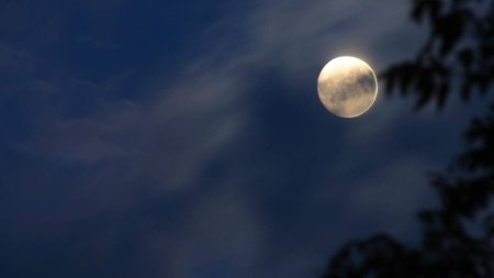 Luna Plina din martie 2024, un moment perfect pentru indeplinirea dorintelor. Energia speciala de care putem profita cu totii