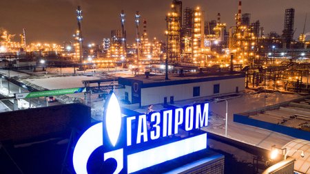 Doi pui ai <span style='background:#EDF514'>GAZPROM</span> se cearta in Portul Constanta