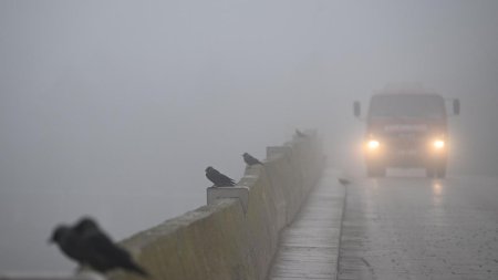 Alerta meteo imediata. Ceata densa in nordul Moldovei. Iata lista localitatilor afectate