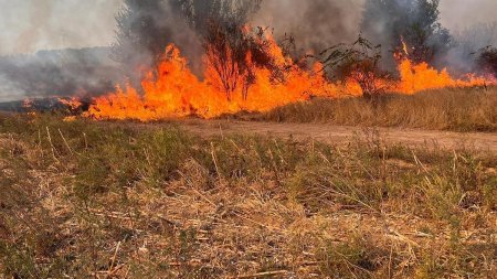 Incendiu de vegetatie. Circulatia rutiera oprita intre Braila si Galati