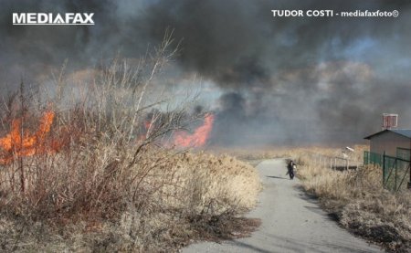 Blocaj in traficul national. Circulatia pe soseaua care leaga Braila si Galati, oprita