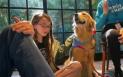 O biblioteca din California a adus in incinta doi caini pentru a-i motiva pe copii sa citeasca. Ce au descoperit cercetatorii