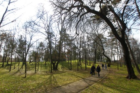 Prognoza pentru urmatoarele 2 saptamani: Cresc temperaturile pe timpul zilei