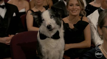 Messi a fost vedeta serii la gala Premiilor Oscar de la Los Angeles. Ce rol a jucat in filmul <span style='background:#EDF514'>ANATOMIA</span> unei caderi!