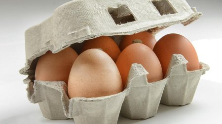 Ce reprezinta <span style='background:#EDF514'>CODURILE</span> de pe ouale din supermarketuri