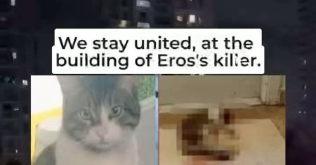 Justice for Eros: barbat a fost condamnat la peste doi ani de inchisoare pentru uciderea unei motan, in Turcia