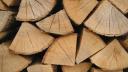 Furt de lemne si abuzuri la Centrul de Plasament din Buzau: Directorul si angajatii implicati intr-un scandal de proportii