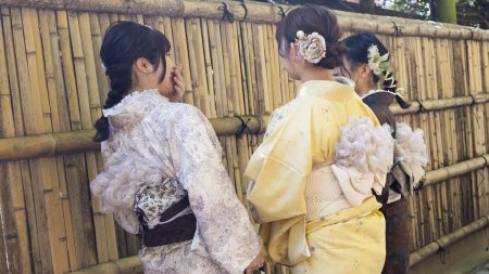 Japonia spune ca a nu permite casatoriile intre persoane de acelasi sex nu e constitutional