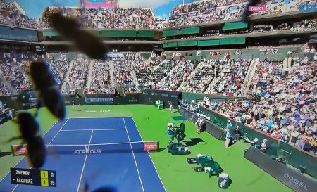 Scene de Hitchcock la Indian Wells. Meciul dintre Alcaraz si Zverev intrerupt de invazia albinelor